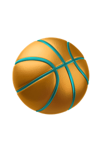 Place system bet on Basketball